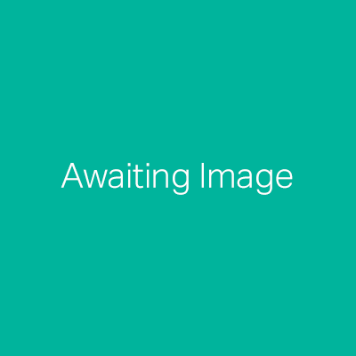 Awaiting Image